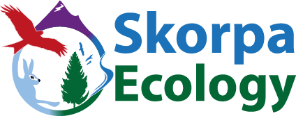 SKORPA ECOLOGY logo with mountains trees rivers and animals